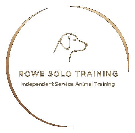 Rowe Solo Training