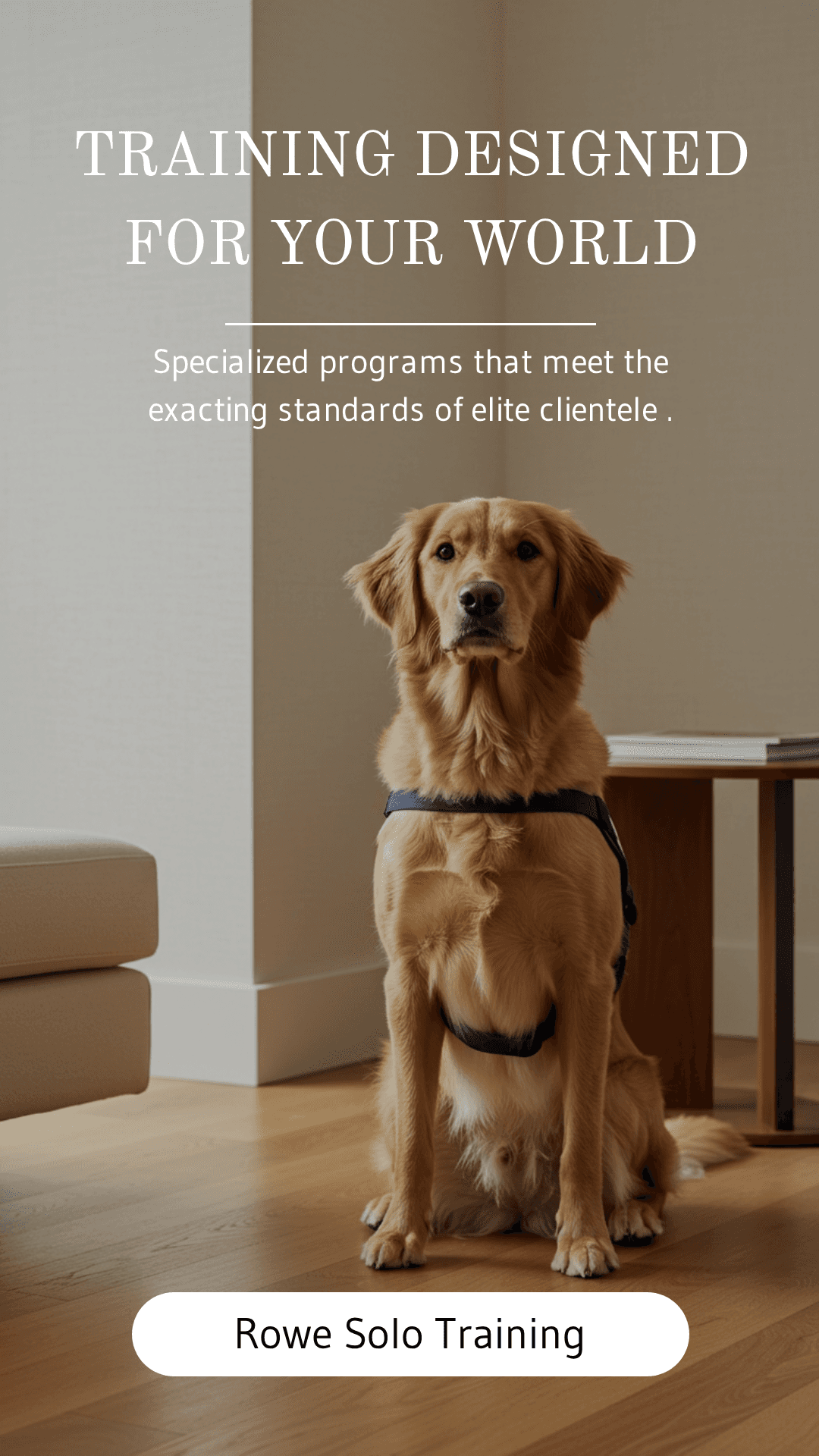 Training Designed for Your World